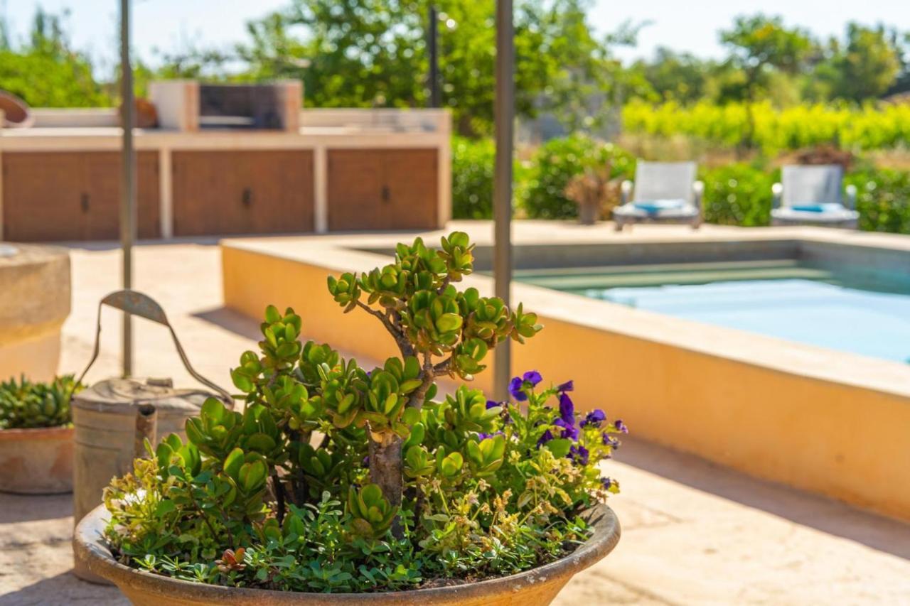 Finca Campestre Es Verger Blue Binissalem Extérieur photo